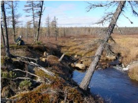 Боковая эрозия по краю наледной поляны р. Аччыгый-Леглегер Фото Андрея Чжана