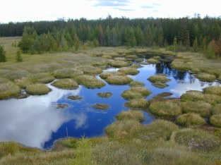 Термокарст, Юкэчи, 2001